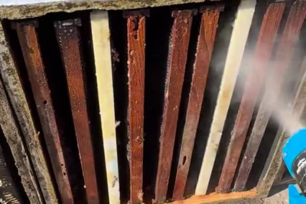 Fogging boxes before reuse